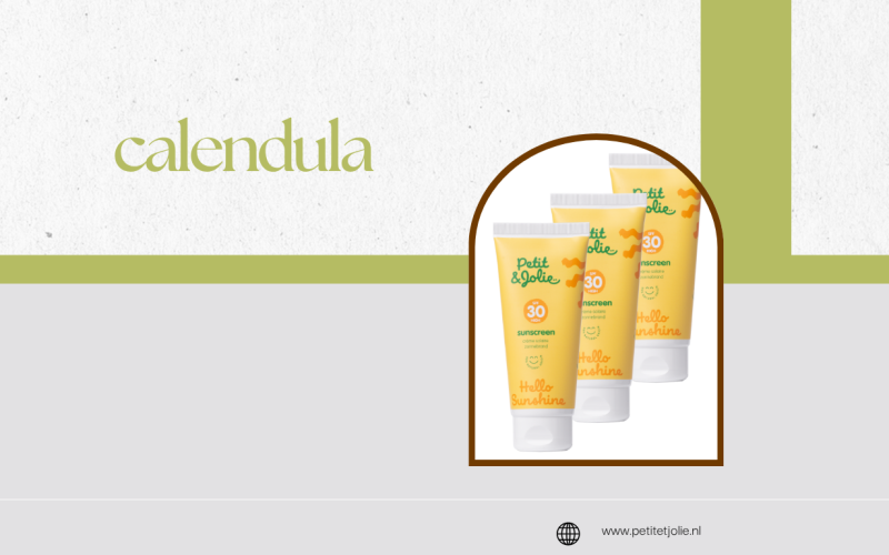 Calendula voor de Huid: Alles Wat Je Moet Weten over Dit Veelzijdige Natuurlijke Ingrediënt